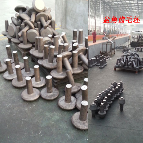 盆角齒毛坯(pī)